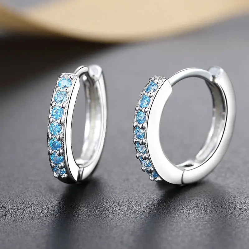 Earrings for Women Girls Simple Crystal 925 Sterling Silver Stamped Jewelry